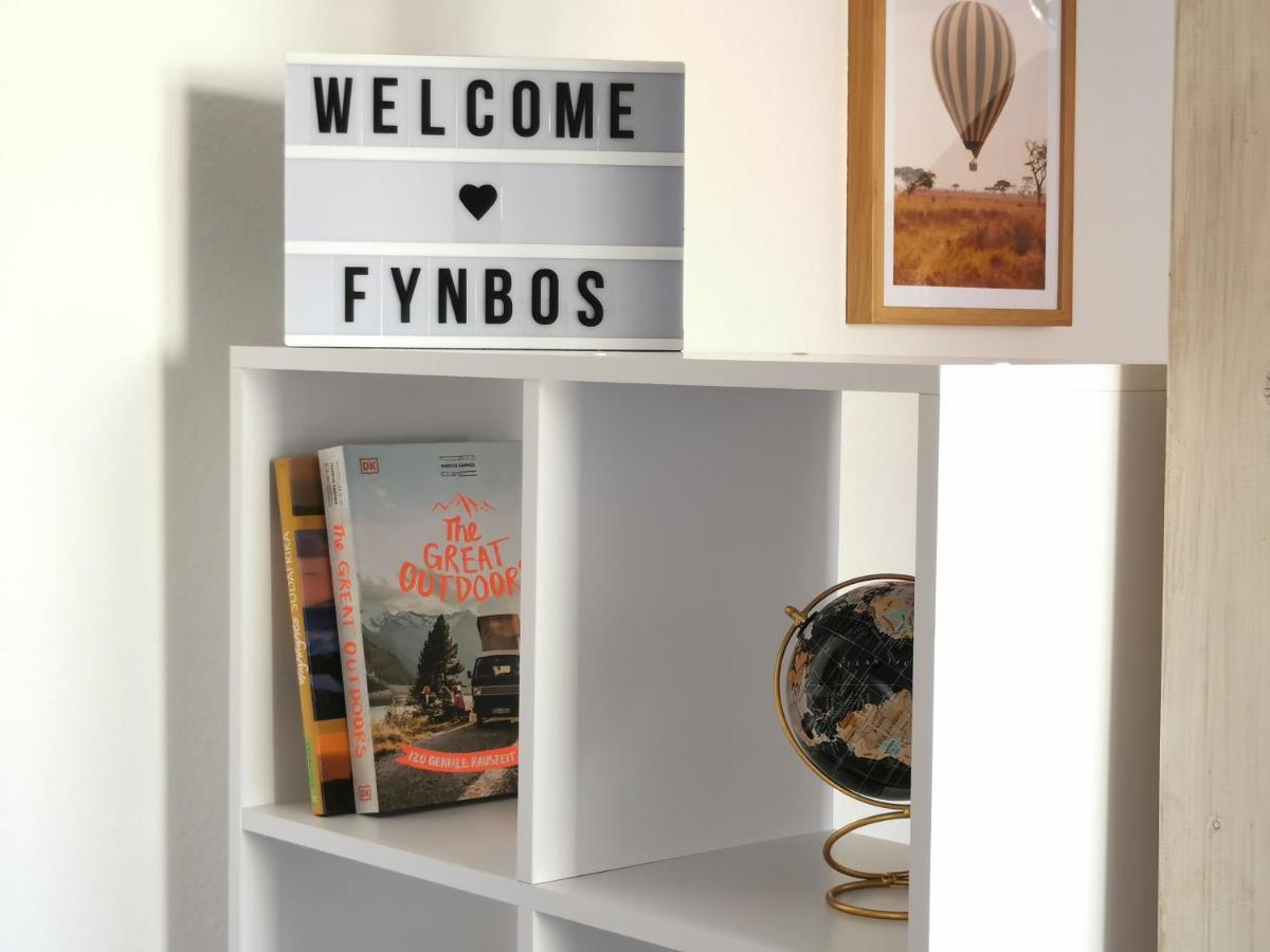 Fynbos Studio Dg In Der Altstadt, Frauenkirchenblick, Parkplatz Meißen Buitenkant foto