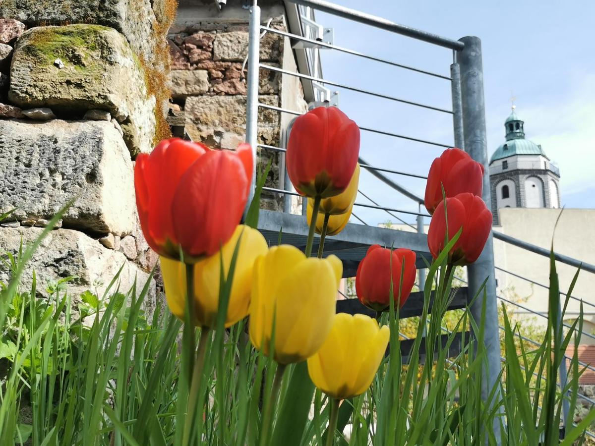 Fynbos Studio Dg In Der Altstadt, Frauenkirchenblick, Parkplatz Meißen Buitenkant foto